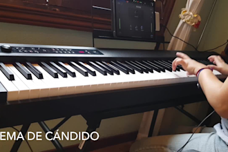 record piano, keyboards and guitars for your song
