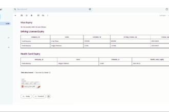 provide professional odoo services