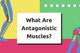 create engaging teaching materials and slides for educators