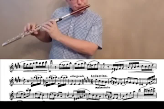 provide personalized online flute lessons