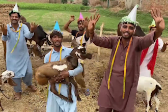 do funny african happy birthday video or happy birthday video
