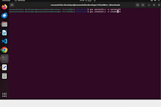 socket programming, networking, python, c, cpp