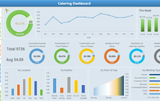 design top quality excel dashboard and pivot table reports