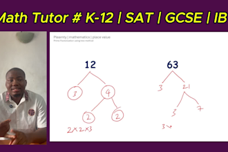 teach grade 1 to 12 maths and science on google meet