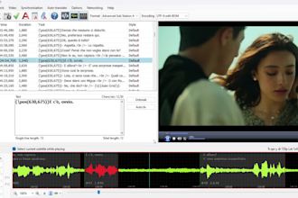 translate and add accurate subtitles for your videos
