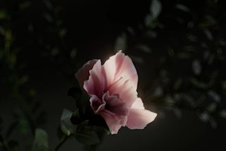 do 3d flower animation, 3d plant vfx, flower vfx, flower animation, simulation
