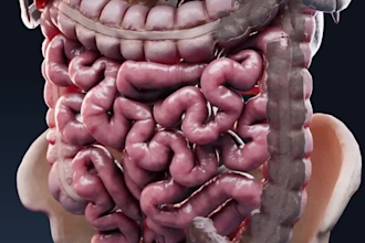 high quality 3d medical animation video 3d animation teeth animation video