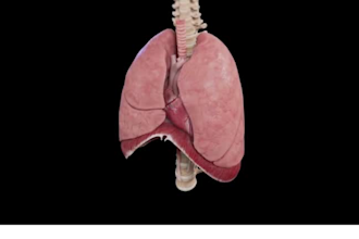 3d medical animation, medical explainer video, healthcare animation, surgery