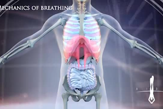 create 3d medical animation, 3d explainer animations, medical procedures