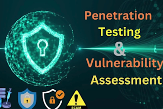 advanced penetration testing on websites to find vulnerabilities