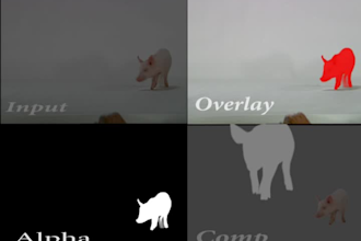 do vfx rotoscoping for your projects