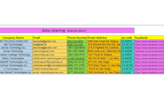 do excellent online research, data mining and data enrichment with accuracy