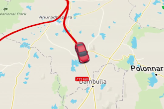 design travel route map animation for social media