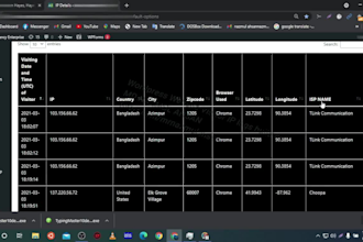 develop custom IP tracking wordpress plugin for your website