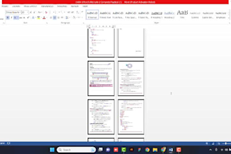 be your ms word expert, document, editing, formatting