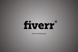 customize your videohive project
