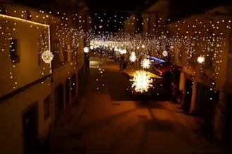 offer unique 3d kids animation 3d christmas animation,christmas card,music video