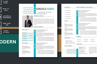 provide you with a professional CV and resume maker service in 24hours