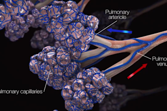 create 3d medical animation video 3d medical video  3d product animation