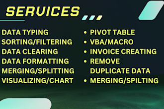 do excel data clean, merge formating, visualizing