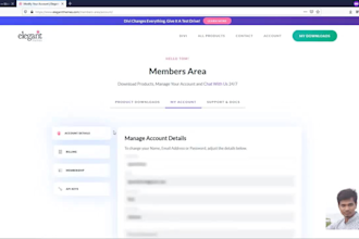 do wordpress theme customization for any business