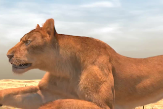 do realistic 3d animal animation 3d animal creature, character rigging, 3d model