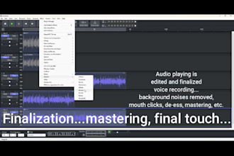 remove background noise of your voice recording and split voice and instrumental