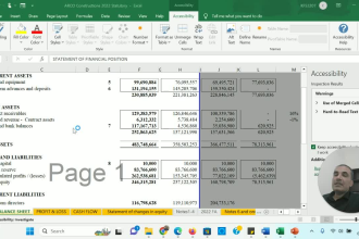 prepare professional financial statements and its analysis