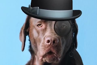animate animals photo to talk and lip sync speak