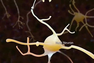provide 3d medical explainer video, 3d surgery animation, 3d medical animation