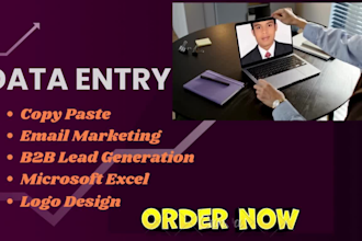 provide accurate data entry and email collecting