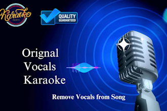 remove vocals from any song, or make instrumental, karaoke