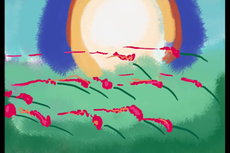 create unique hand drawn animations for you