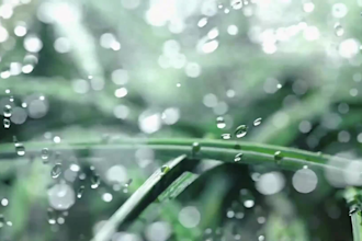 make 3d perfume animation, 3d cosmetics video and cgi product ad, 3d fragrance