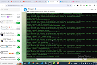 develop a custom telegram bot in python