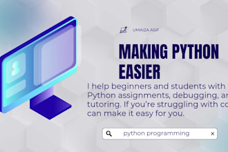 write and debug you beginner level python programs