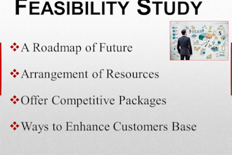 do feasibility study, business plan, financial modeling