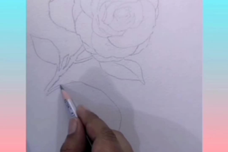 do watercolor paintings of nature and anything