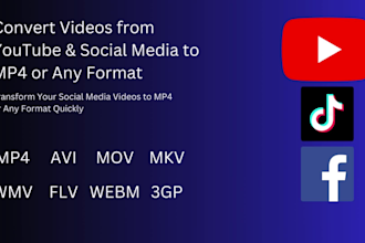 convert videos from youtube facebook tiktok to high quality mp4