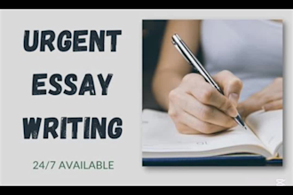 assist with nursing, capella, walden, chamberlain, dnp, msn, bsn tasks