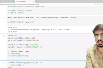 train object detection model on custom data
