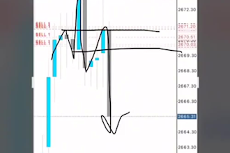 build profitable forex trading bot, forex ea, trading bot, ea bot, gold ea