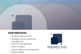 do strategic plans, strategic human resources, leadership plans, kpis