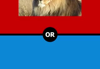 create a viral trivia quiz video for tiktok