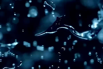 make fluid particle simulation 3d water simulation liquid simulation product vfx