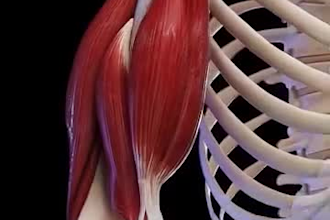 create 3d medical animation, 3d surgery animation, and 3d medical video