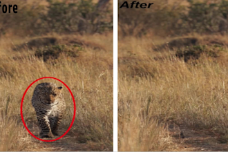 remove any unwanted object from video or pic vfx rotoscoping