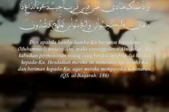 edit islamic quran recitation video, shorts, and reels in only one day
