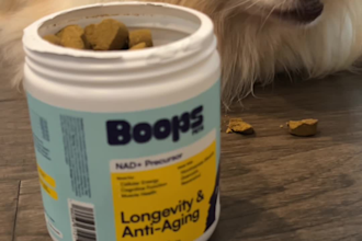 create ugc or influencer videos as a dog mom