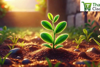 do ai bible story animation for kids, children video, 3d ai animation